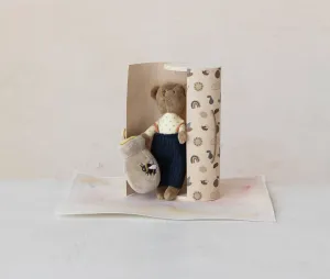 Creative Co-Op Plush Bear in Printed Wood Gift Box