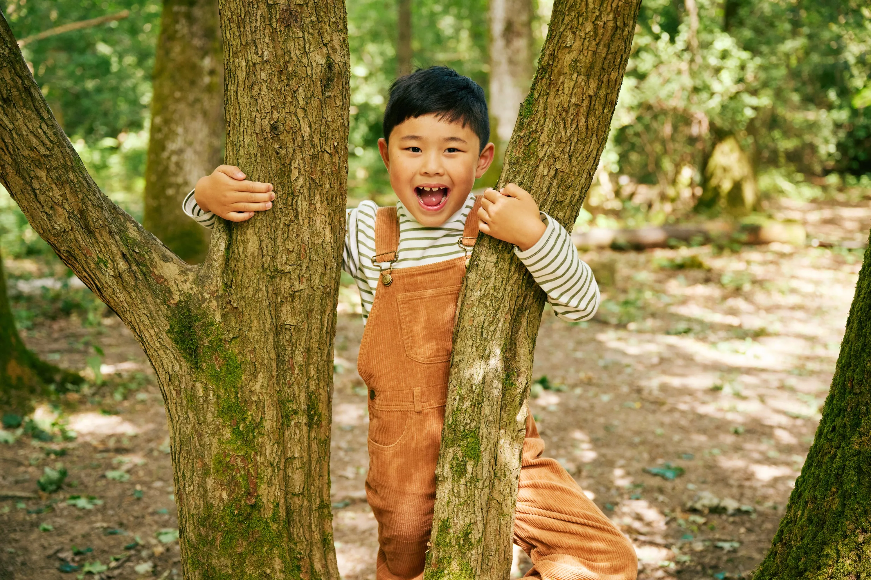 Dotty Dungarees Fawn Chunky Cord Dungaree / Overalls